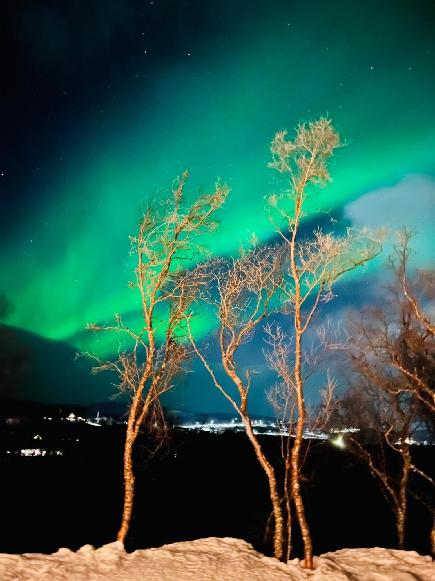 Olderfjord Lodge Russenes エクステリア 写真