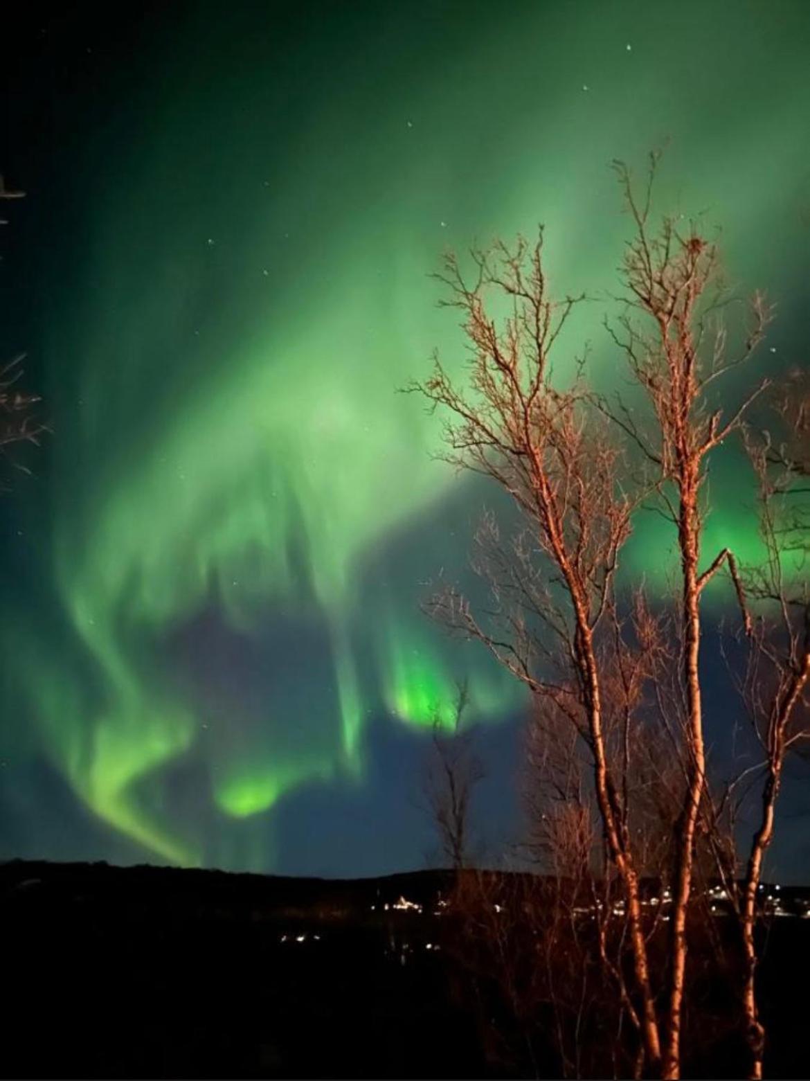 Olderfjord Lodge Russenes エクステリア 写真